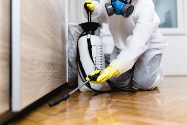 Best Affordable Pest Control Services  in El Campo, TX
