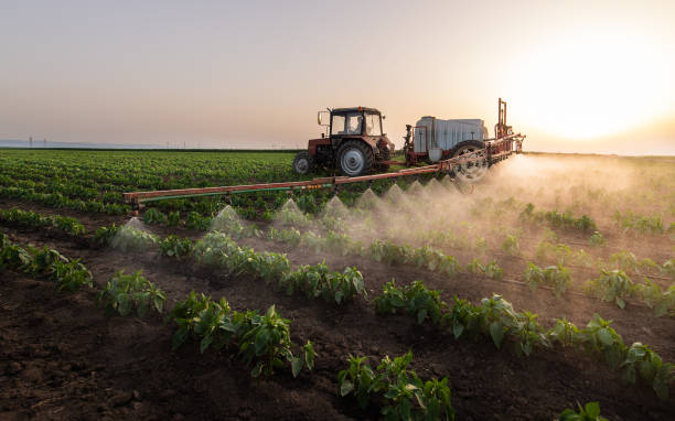Best Pest Prevention Services  in El Campo, TX