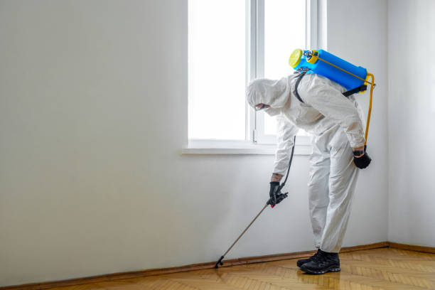 Best Flea Control Services  in El Campo, TX