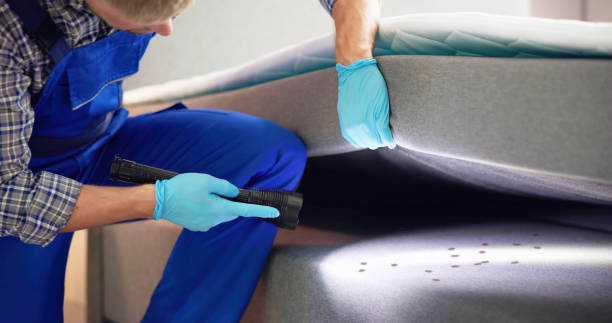 Best Best Pest Control Companies  in El Campo, TX