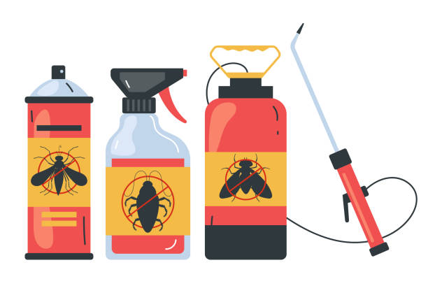 Best Wasp Removal Services  in El Campo, TX