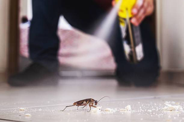 Best Pest Control Near Me in El Campo, TX