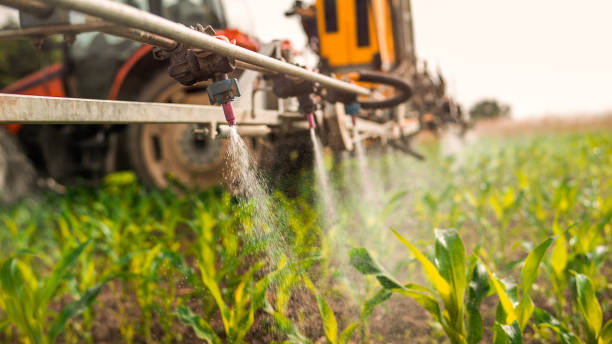 Best Mosquito Control Services  in El Campo, TX