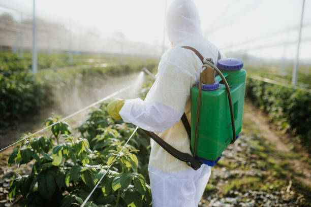 Pest Prevention Services in El Campo, TX